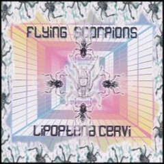 01 Flying Scorpions _Avari (Raivovajari mix)