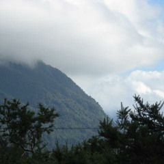 FL71NG DR34MZ - U M4K3 M3 L0V3 U