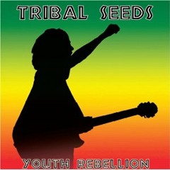 Youth Rebellion (DUB)