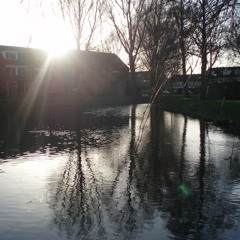 Maybe I grew (FREE demo version!)