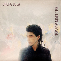 FELL UPON A JEWEL Arista Release)