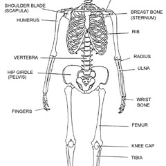 Intensa Music - Arrodillate (Mack Browne Moombahton Edit)