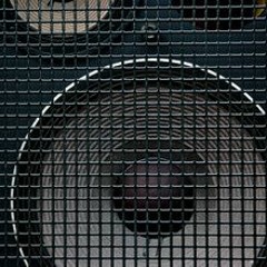 Sound Collage: Killer Bees