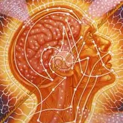 Sungazing In A KonkreteJungle 2011.01.17