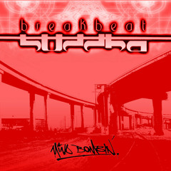 BreakBeatBuddha Vs. Bassnectar - Buddha Bounce - Released: 2006
