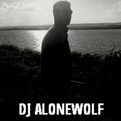 Basshunter-Saturday (Dj Alonewolf Remix)