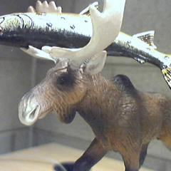 You Smell Like Poo 2010