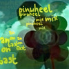 Pinwheel - An On Bast (Live Original Mix)