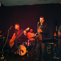 Root Down-The New Casuals