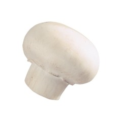 Button Mushroom