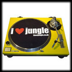 The Don - Summer Of Jungle Love - July Mix 2010