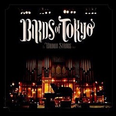 Wayside (Acoustic version live)