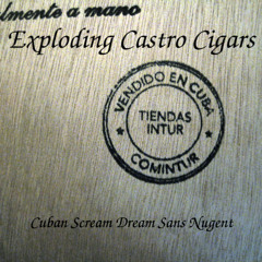 Icky Toyfriend(Cuban Scream Dream Sans Nugent)