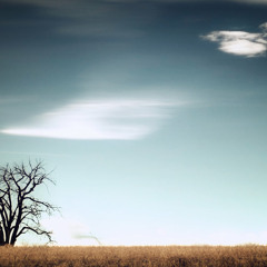 Liquid & Dub Selection