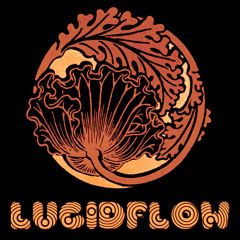 All Lucidflow EPs - sort by date - fine deep techno,minimal,dub,house