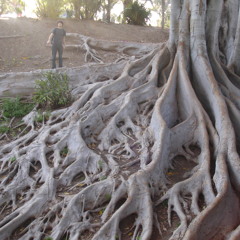 White Keys for a Rainy Day (in Cmajor)