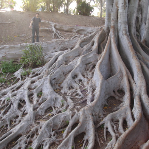 White Keys for a Rainy Day (in Cmajor)