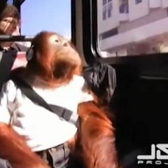 J&B Project - Light on (Elecdruids Remix)