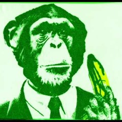 SIX BILLION MONKEYS - six billion monkeys