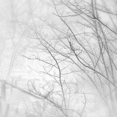 lost in the ocean of humanity