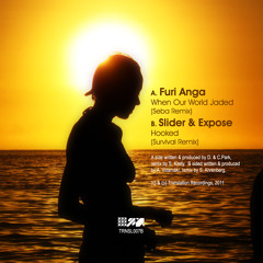 Furi Anga - When Our World Jaded (Seba Remix)
