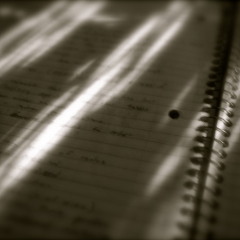 (The Felix Culpa Cover)