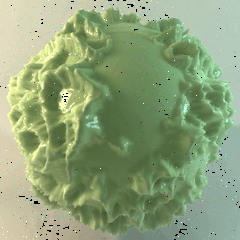 Alex pète les plombs. (2007)