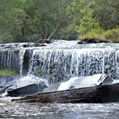 Windy Winter Solstice - Lakefield National Park, Cape York
