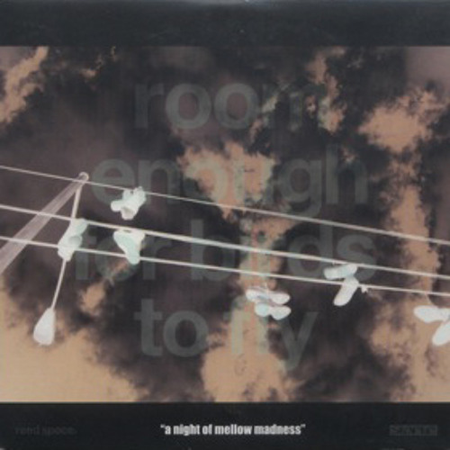 "Room Enough For Birds To Fly (Mellow Dub)" by Hiroshi Fujiwara for Staple Sounds