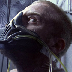 The Truth [FREE 320]