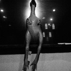 Crystalline Xanthine Alkaloid