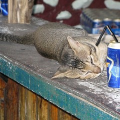 The Clash vs. Tensnake - Rock The Comacatbah (Flashlights Mashup) - CLICK BUY FOR FREE DOWNLOAD LINK