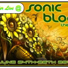 Live @ SonicBloom 2011