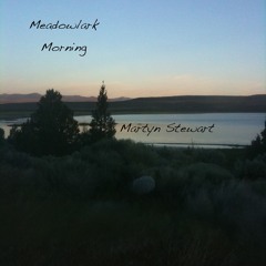 20110625T01-Meadowlark morning