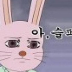 꼬물냥을 위한 변명 (BGM 류이치 사카모토 Merry Christmas)