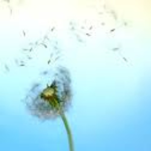 Life is _____.