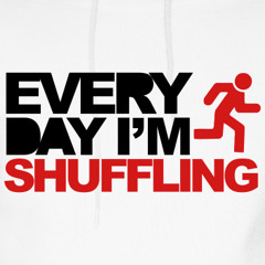 EVERYDAY IM SHUFFLING (GEWLZ REMIX)