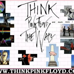 AnotherBrick-THINK PINK FLOYD.