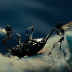 Amon Tobin -ISAM live- @ Bataclan, Paris | 11.06.2011