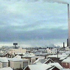 We Are Trees (Original Track)