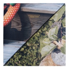 PREMIERE: Pulseprogramming, "Light Rides"