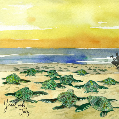 Wilderness