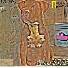 Recuerdos bestermCftZondek1 blasfemiaREC