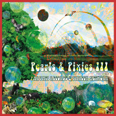Kerlivin & Baba Yaga - Vortexmus (Pearls & Pixies III - Parvati Records & Phreex Networx 2011)