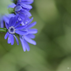 คำสัญญา ปุ้ม อรวรรณ