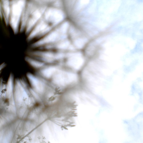 Andrew Tailor - Alright (signed by MUNIS DIGITAL)