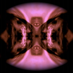 ::::LOST????::::WE.LIVE.IN.A.SWAMP.OF.BLACK.SWANS.{symbol of mystery mix}  free.download?