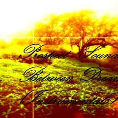 Prospect - Tribute To J Dilla (Instrumental)