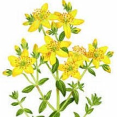 Dido vs. Love and Light -- Thank You, You Are the Reason Why (JC Mash)