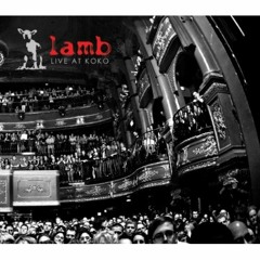 Lamb- Transfatty Acid (Live)